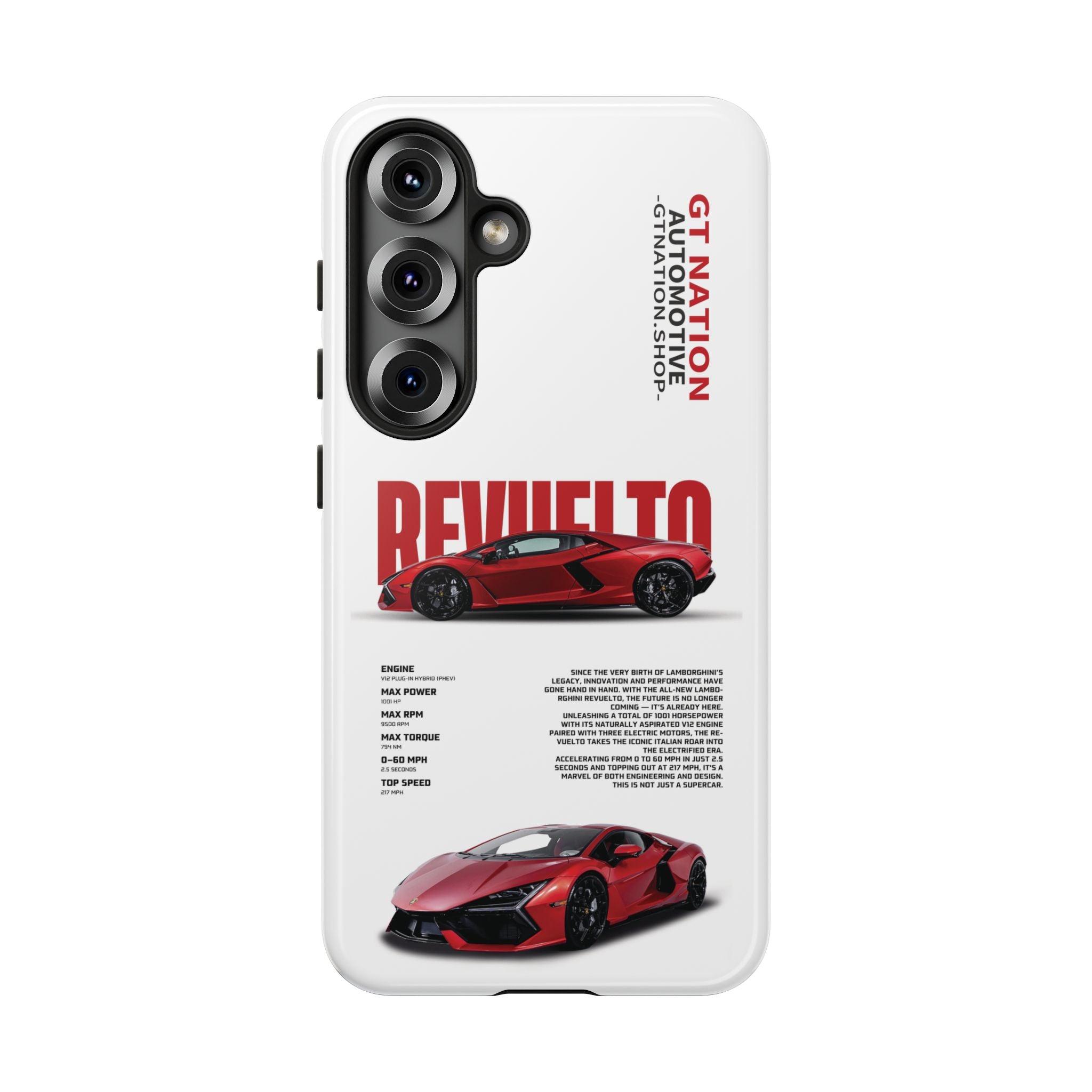 Snowy "Revuelto" Case