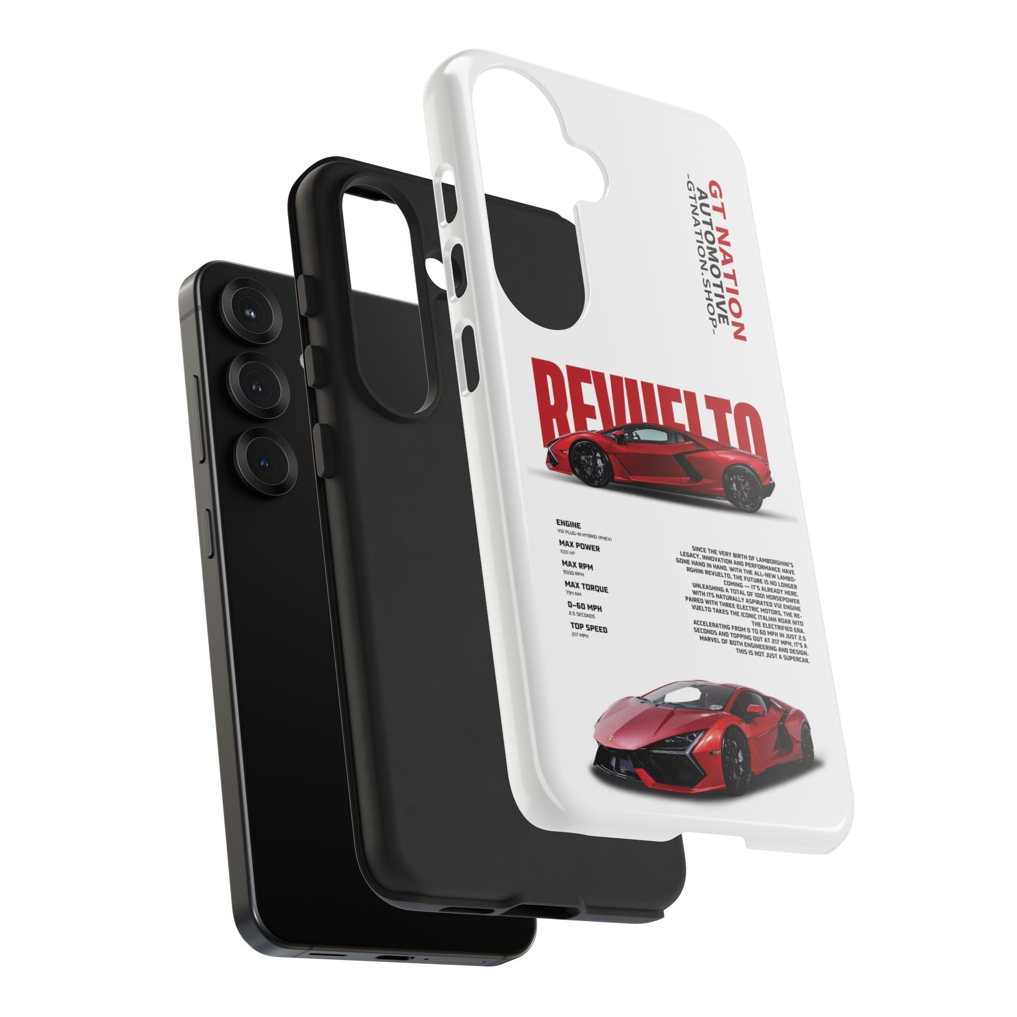 Snowy "Revuelto" Case